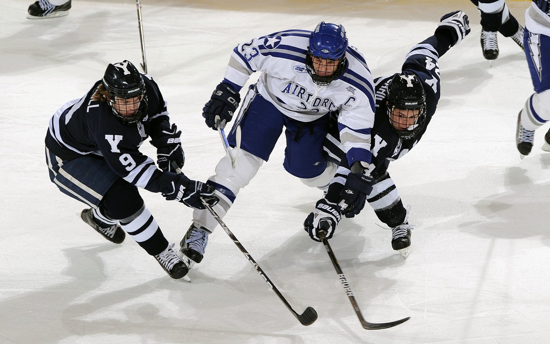 雄鹿决胜局带走上海队，范弗利特成为关键先生