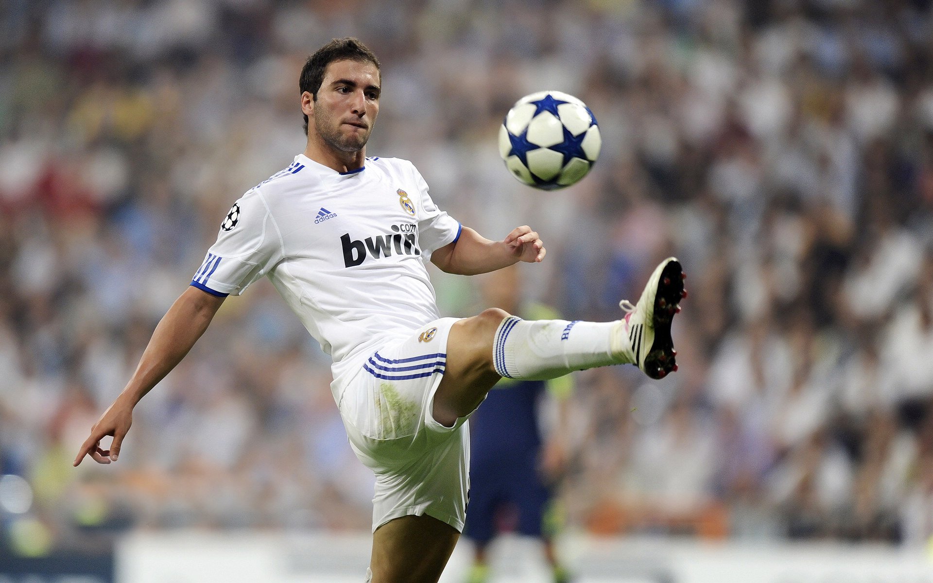 开云体育直播-从非洲之巅到德甲之巅，阿克的双线传奇，足球意志的胜利图腾